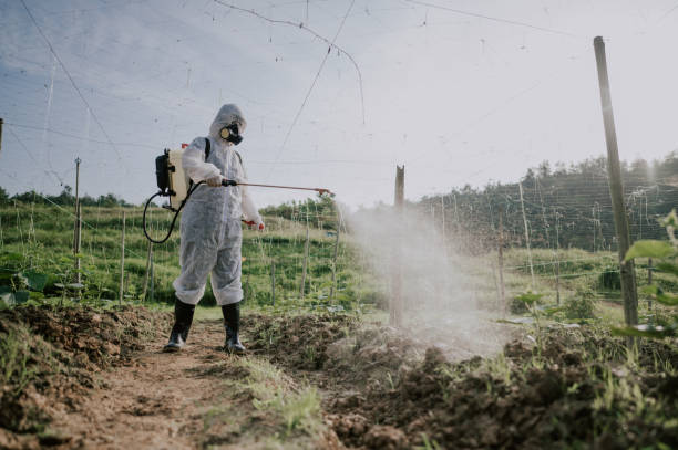 Best Mosquito Control Services  in Greeneville, TN
