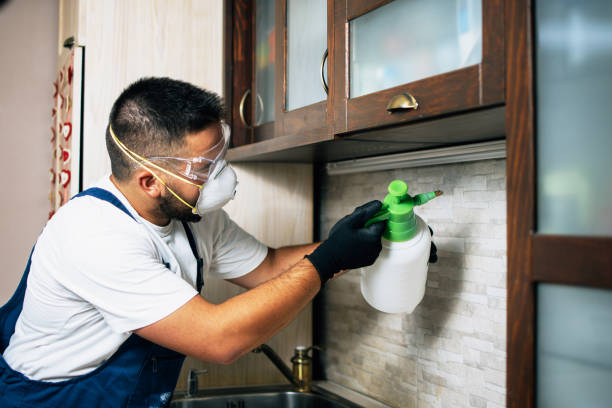 Best Residential Pest Control  in Greeneville, TN