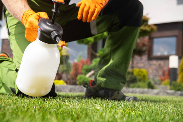 Best Best Pest Control Companies  in Greeneville, TN