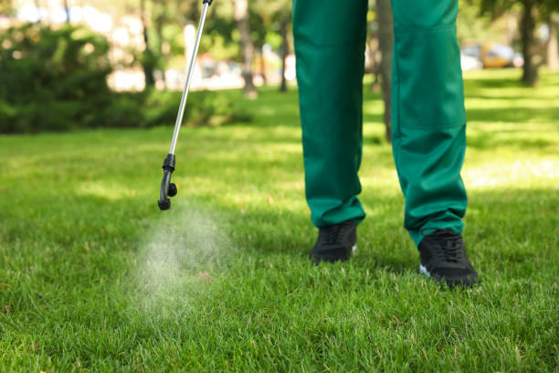 Best Best Pest Control Companies  in Greeneville, TN