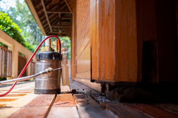 Best Pest Prevention Services  in Greeneville, TN