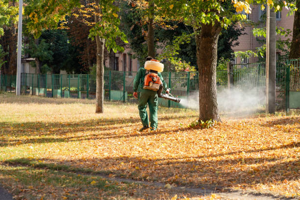 Best Termite Control Services  in Greeneville, TN
