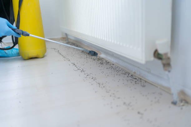 Best Pest Control for Restaurants  in Greeneville, TN