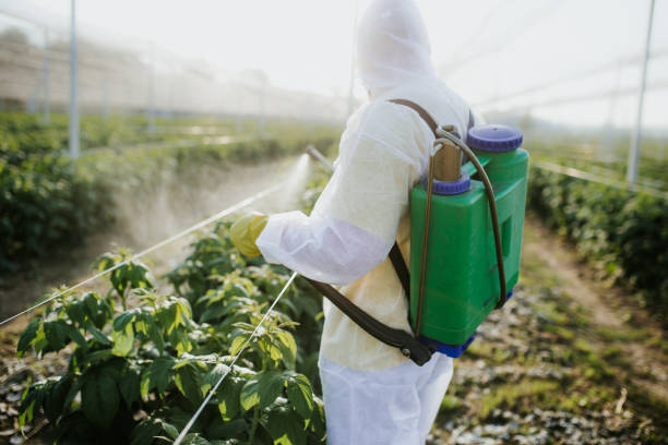 Pest Control for Restaurants in Greeneville, TN